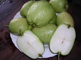 Ổi xá lị không hạt