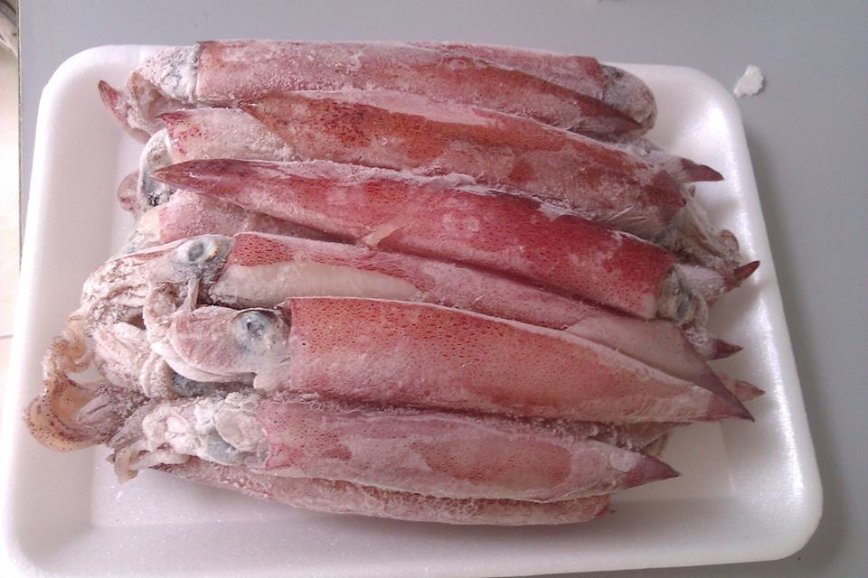 Mực trứng Cửa Lò