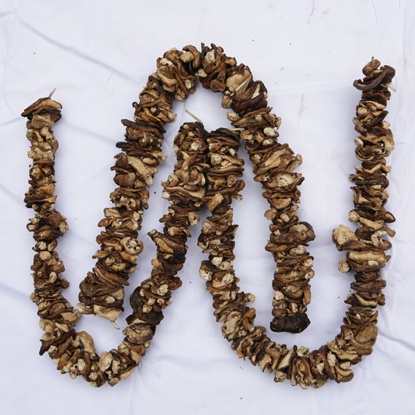 Nấm hương rừng khô (xiên que)