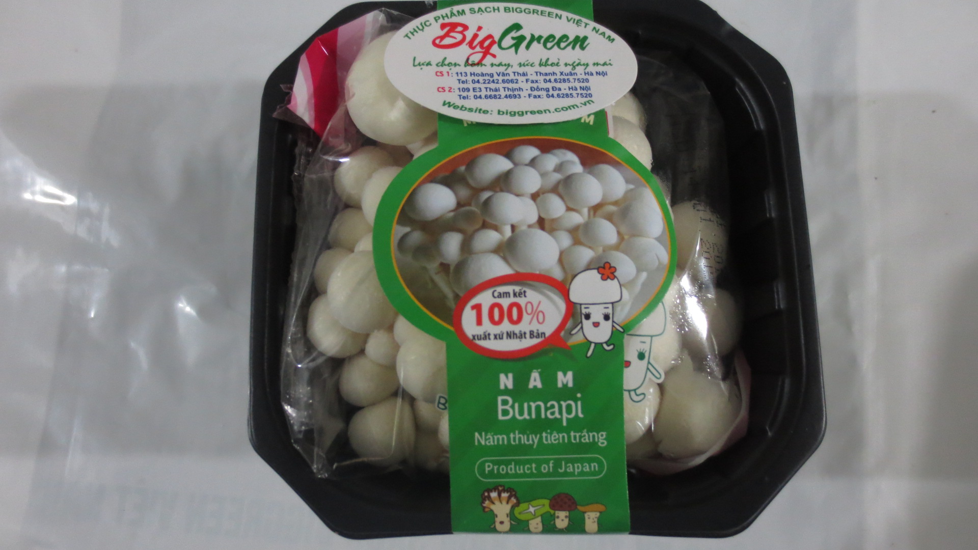 Nấm Thủy tiên trắng Nhật Bản