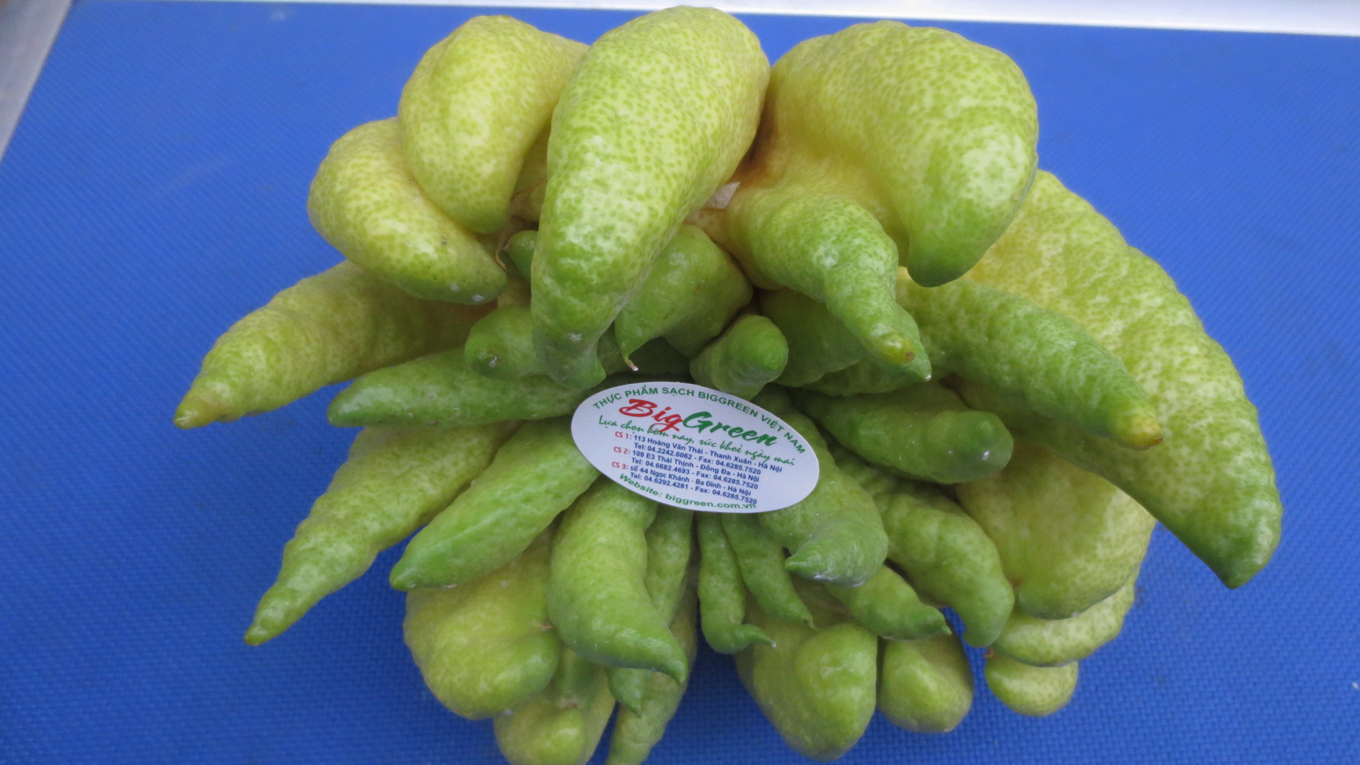 Phật Thủ size ĐB 2