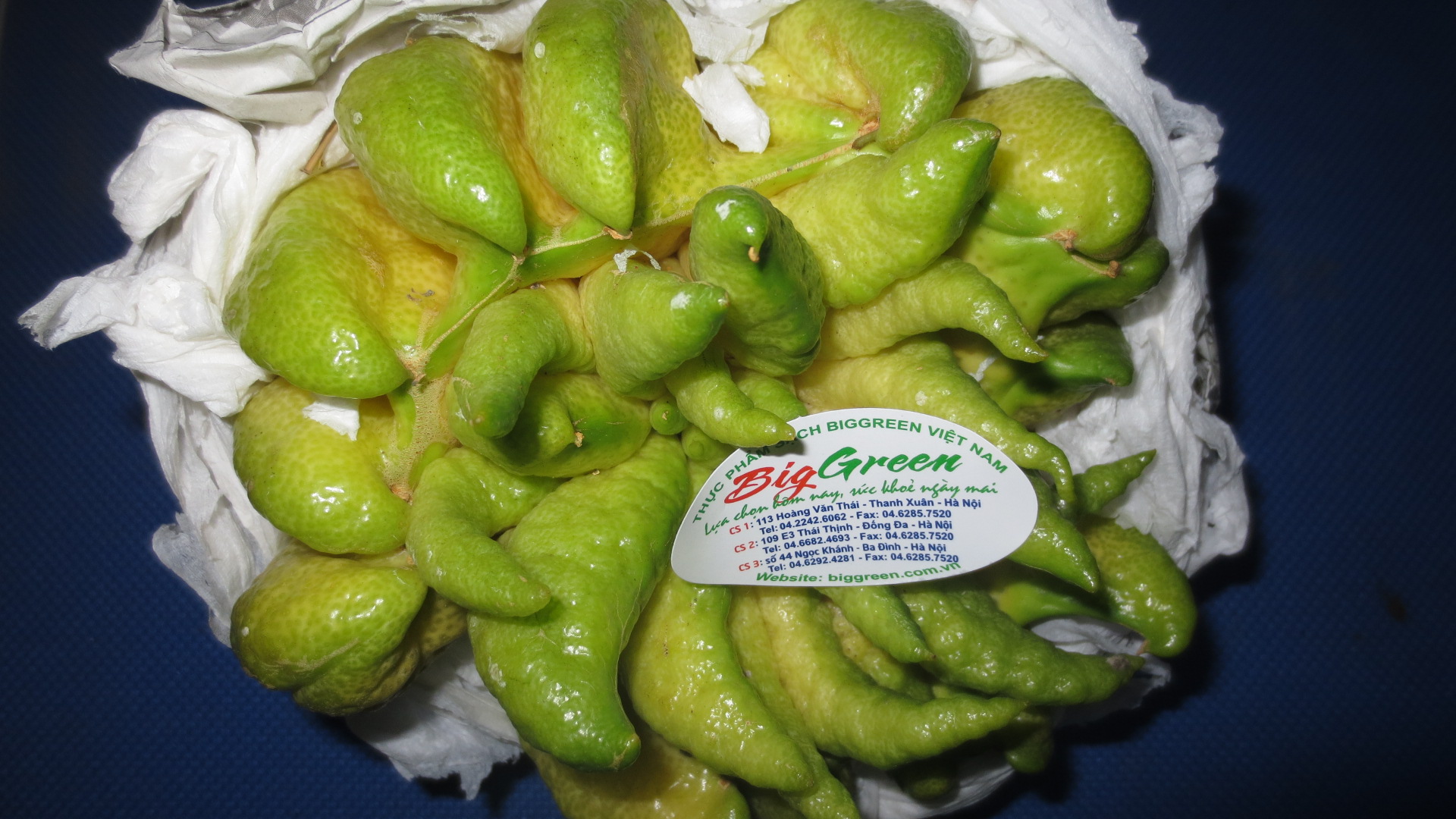 Phật thủ Size to