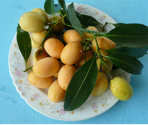 Qủa Thanh Trà ngọt