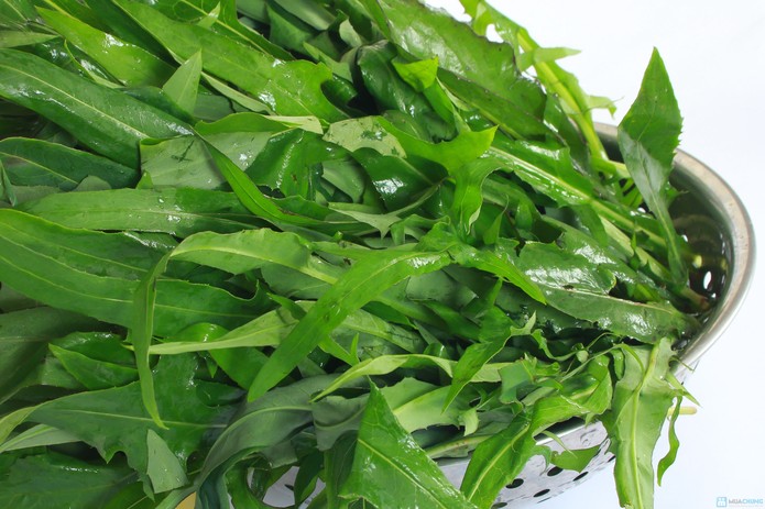 Rau Bồ công anh Hữu cơ