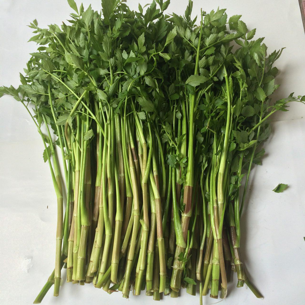 Rau Cần Hoàng Lương VietGAP - Bắc Giang