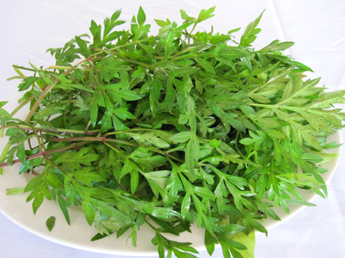 Rau Nhái (rau Sao Nhái) - Tây Ninh