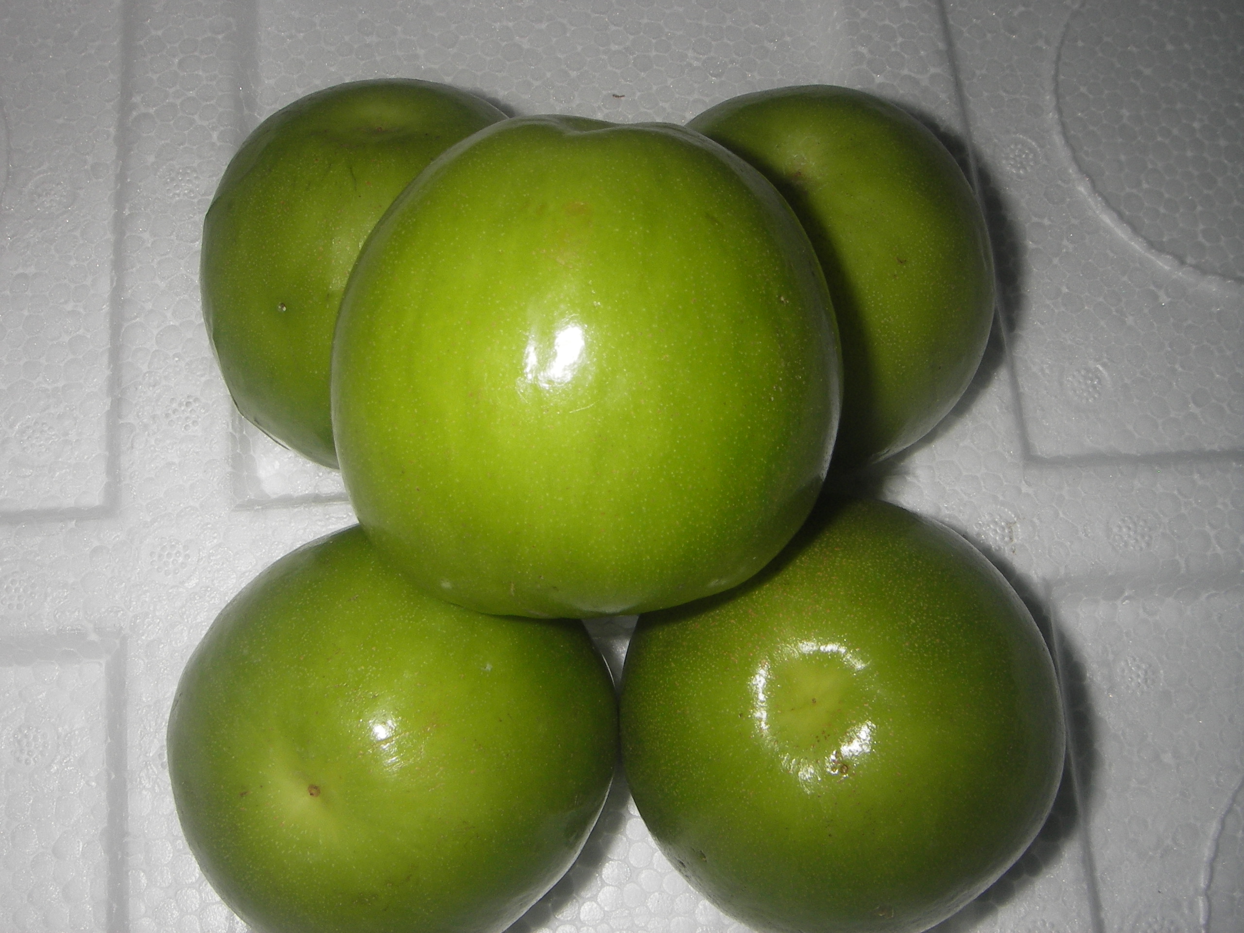 Táo Ninh Thuận quả to