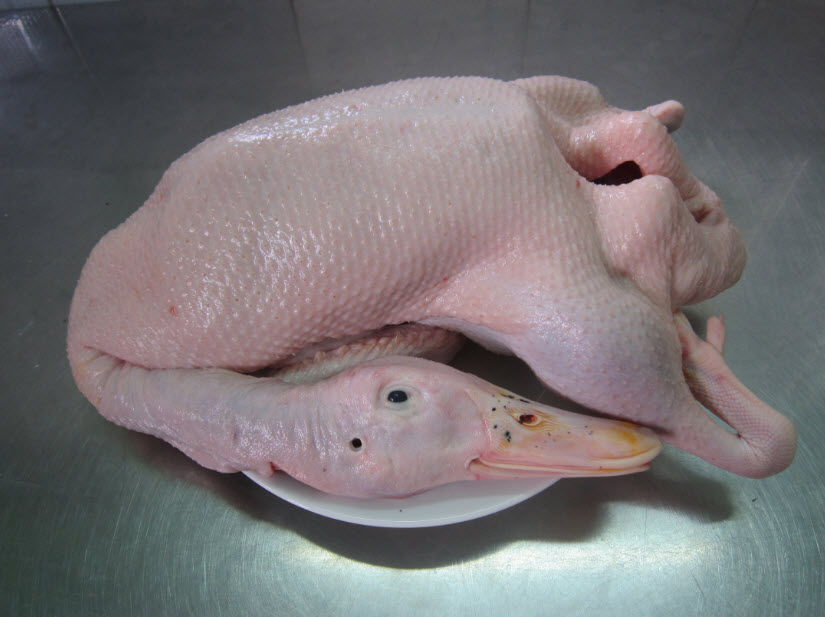 Thịt Vịt làm sạch