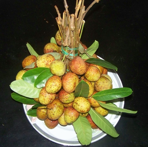 Vải U ngọt Thanh Hà