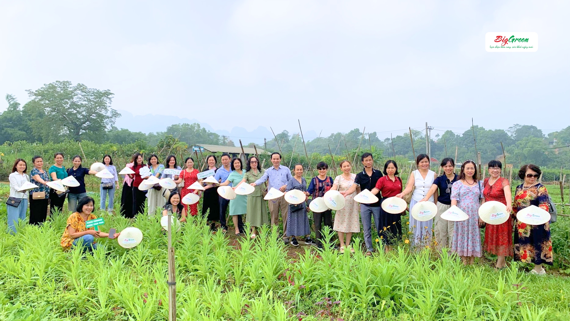 Cùng Biggreen thăm vườn rau hữu cơ Đồng Sương