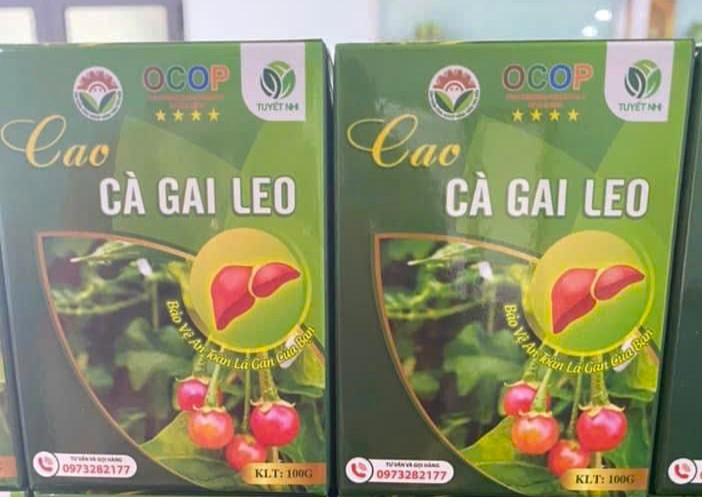 Cao Cà Gai Leo Tuyết Nhi – Sản phẩm OCOP 4 sao