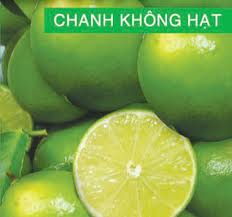 Chanh không hạt Đà Lạt