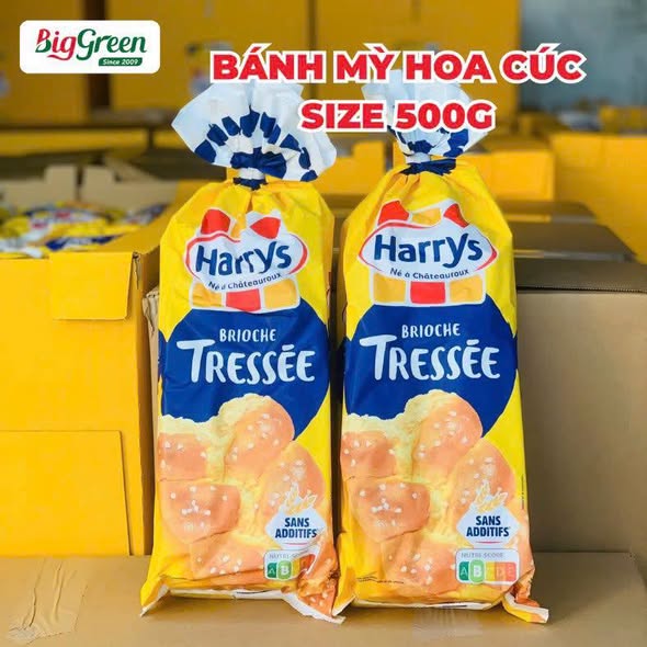 Bánh Mỳ Hoa Cúc Pháp size to