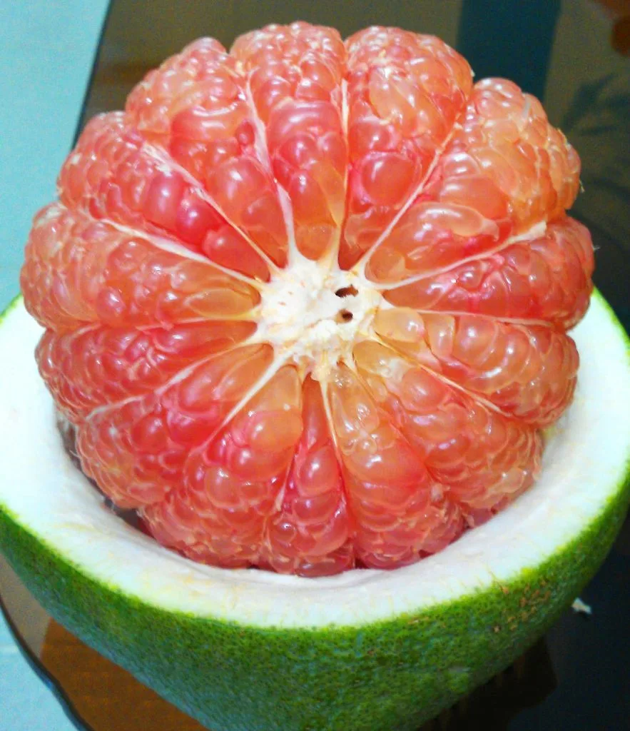 Bưởi Da Xanh lão