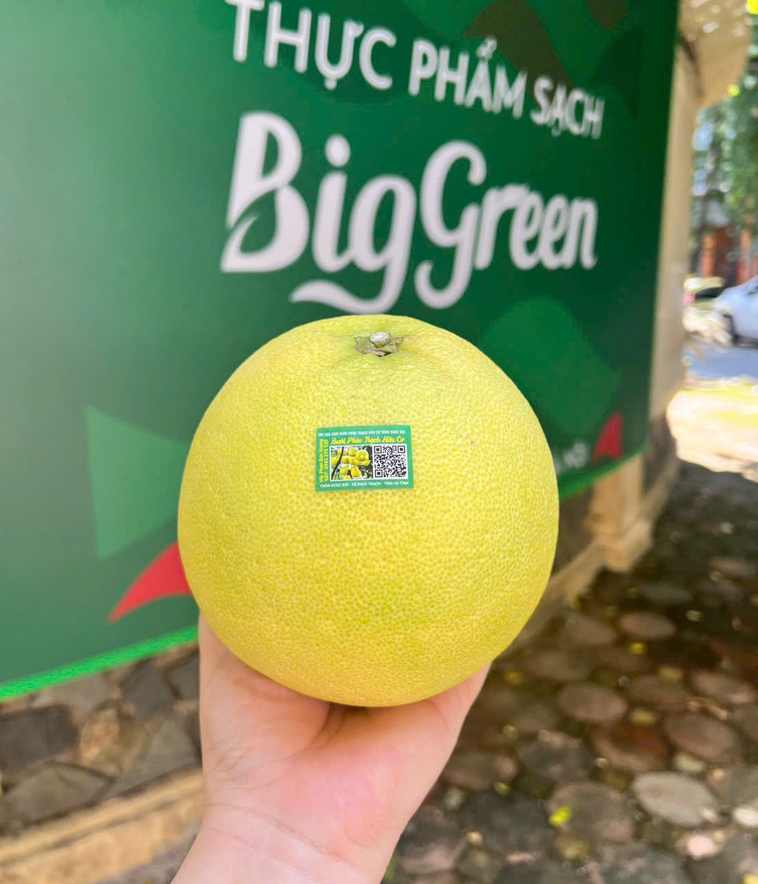 Bưởi Phúc Trạch Hữu cơ
