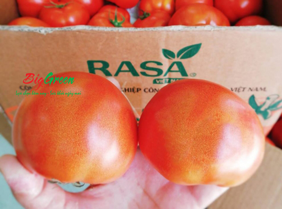Cà chua RASA Mộc Châu (trồng công nghệ cao)