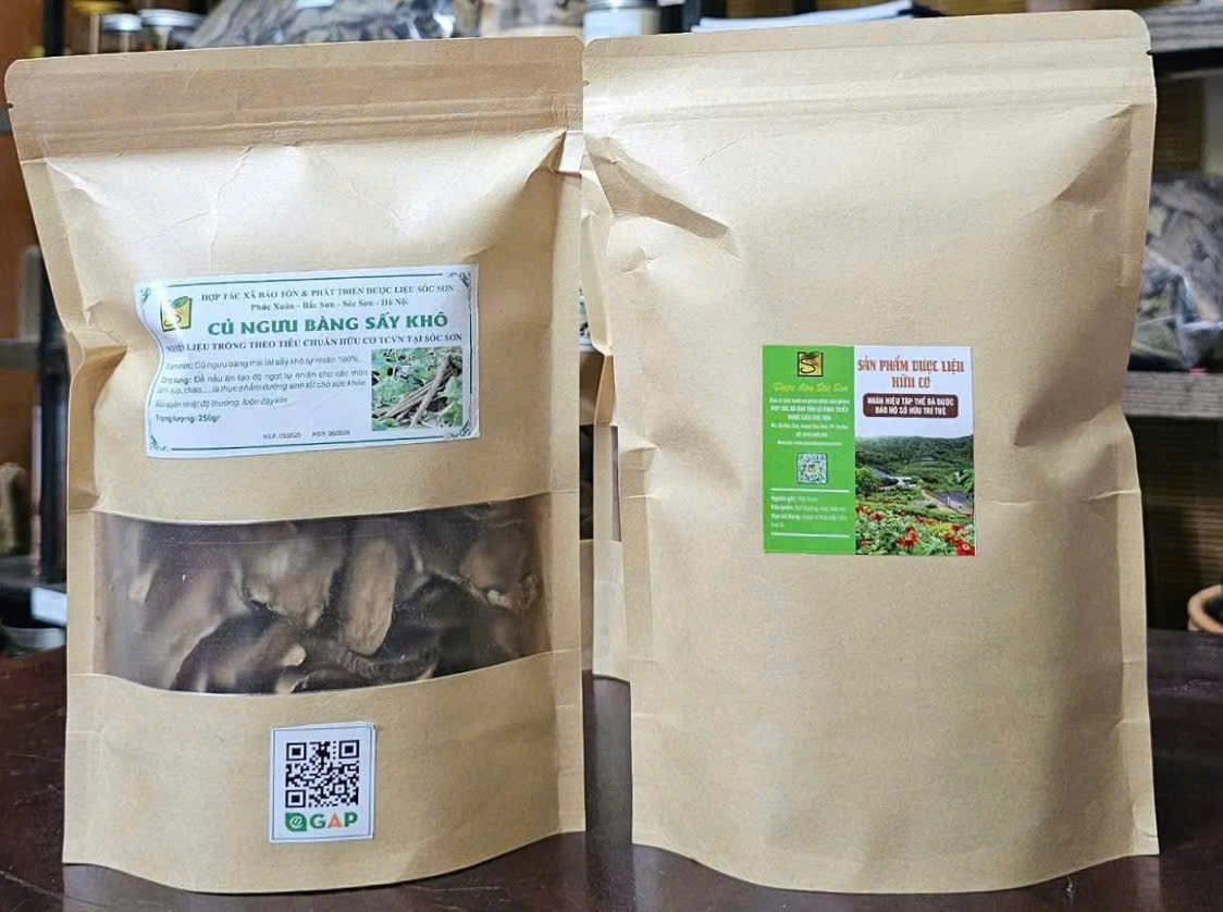 Củ Ngưu Bàng Hữu cơ sấy