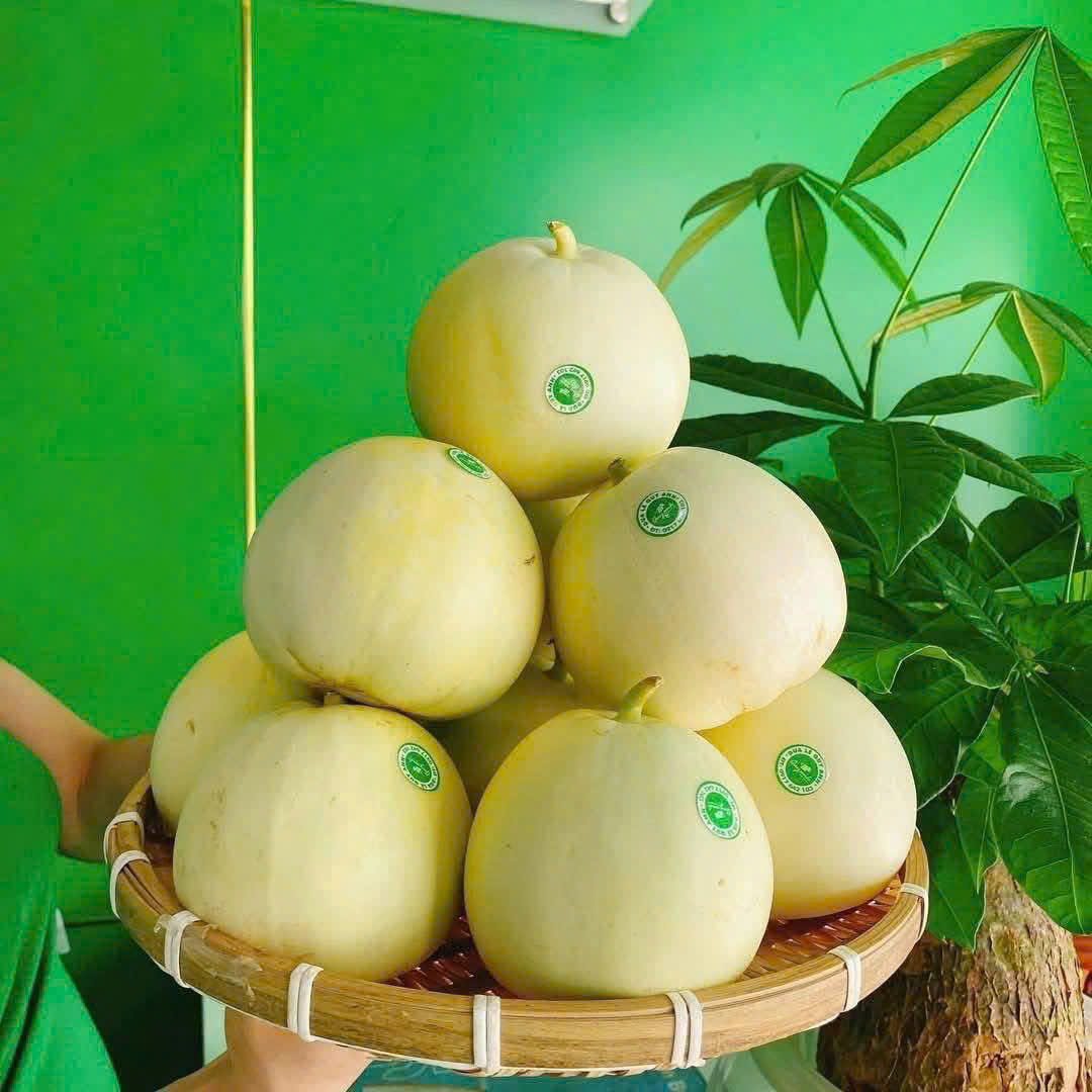 Dưa Lê Ninh Thuận ( quy anh)