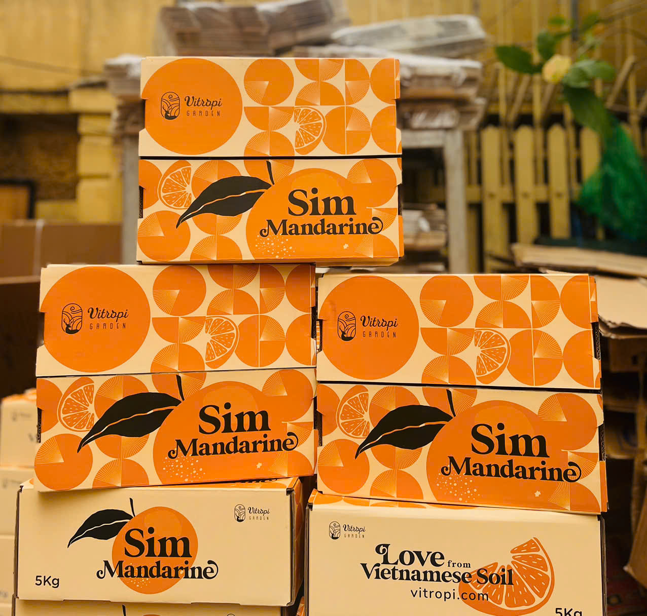 Quýt Sim cơ bản thùng 5kg