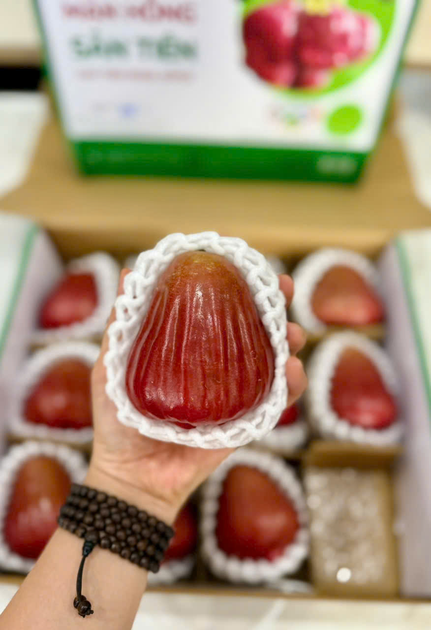 Mận Hồng Sân Tiên