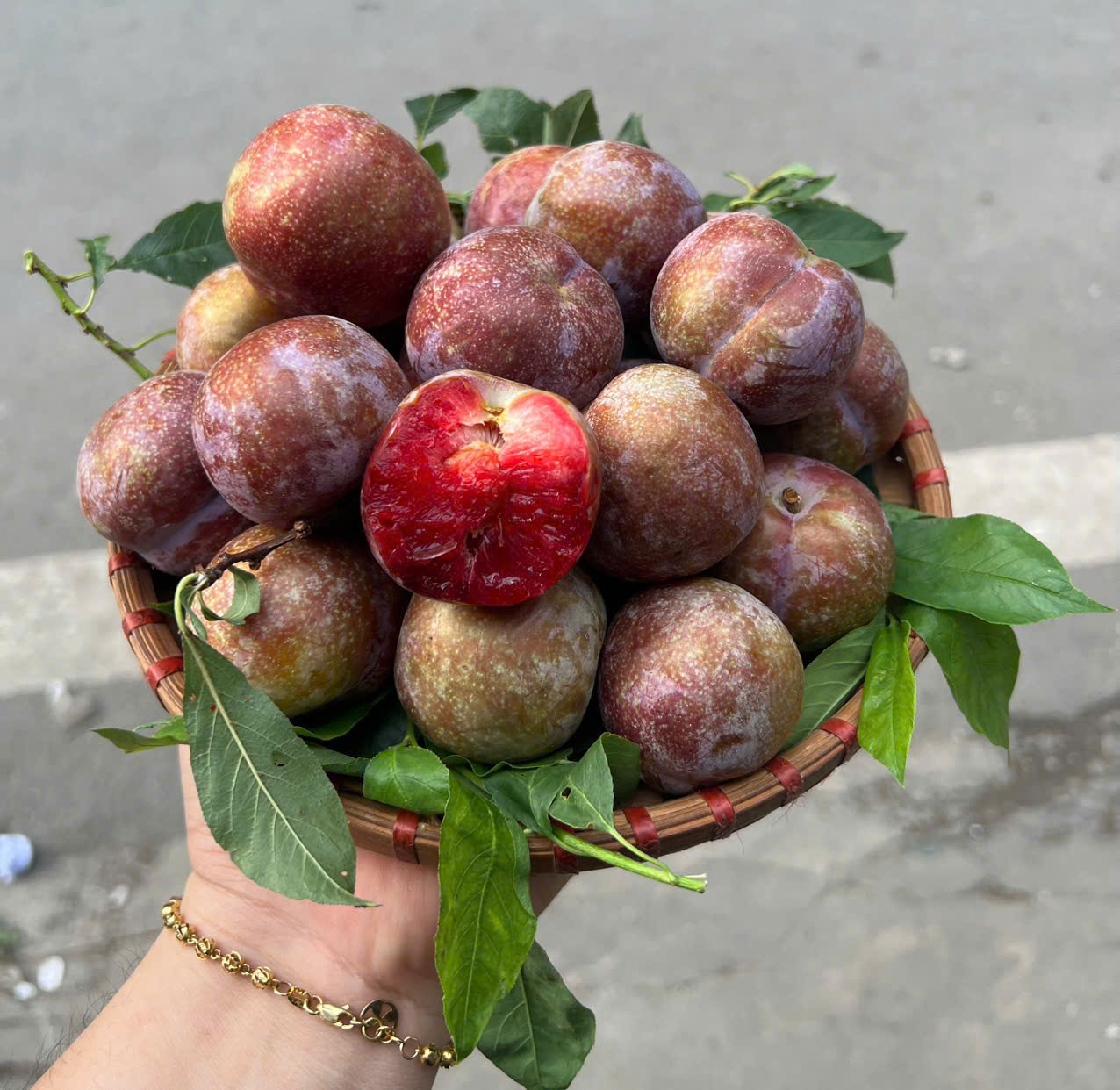 Mận Mộc Châu size Cồ