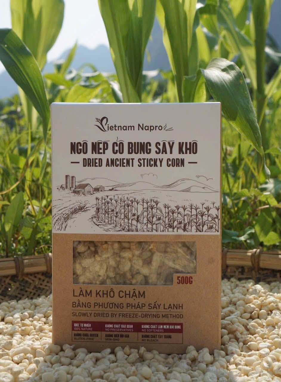 Ngô Nếp Cổ Bung sấy khô