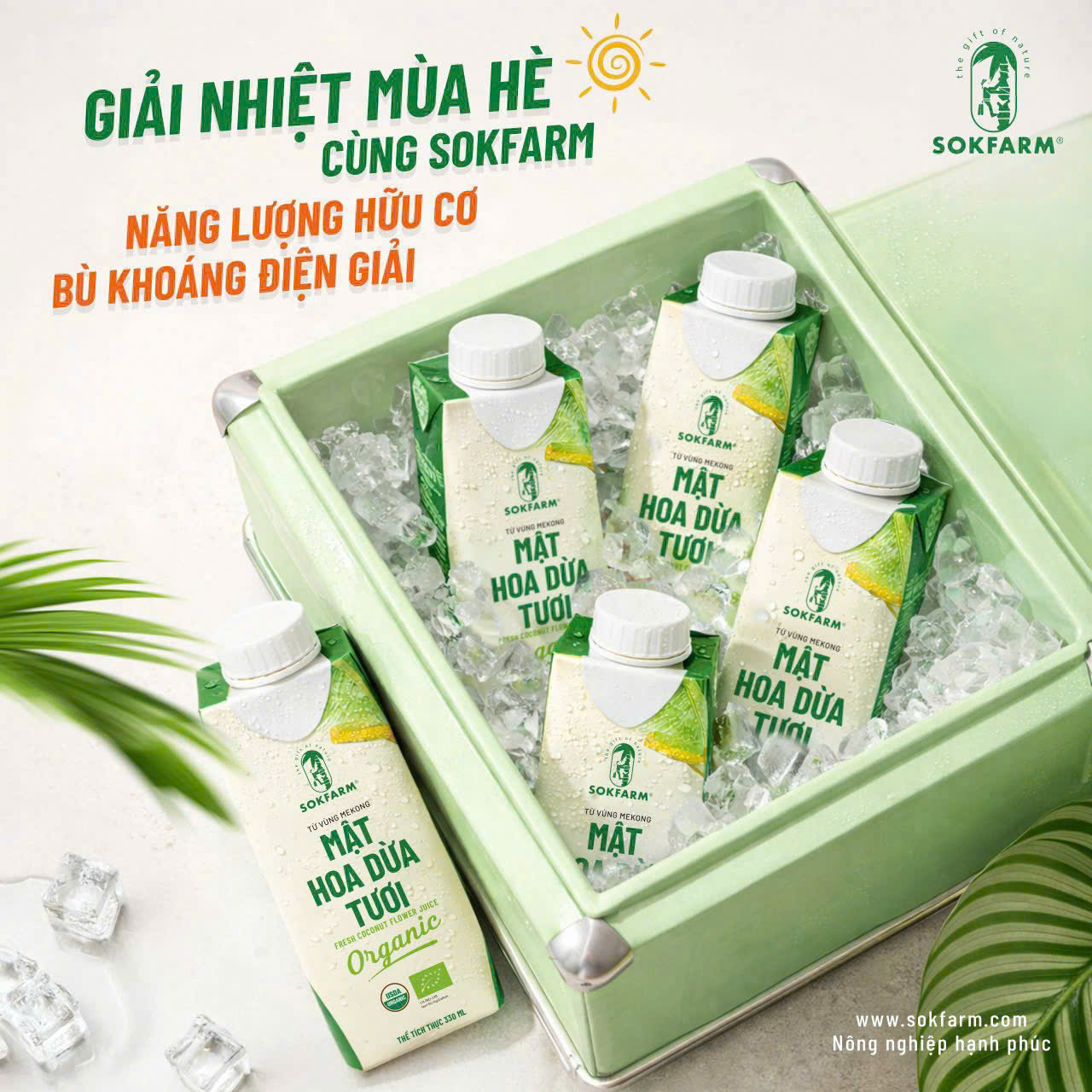 Nước Mật Hoa Dừa SOKFARM (8938529062341)