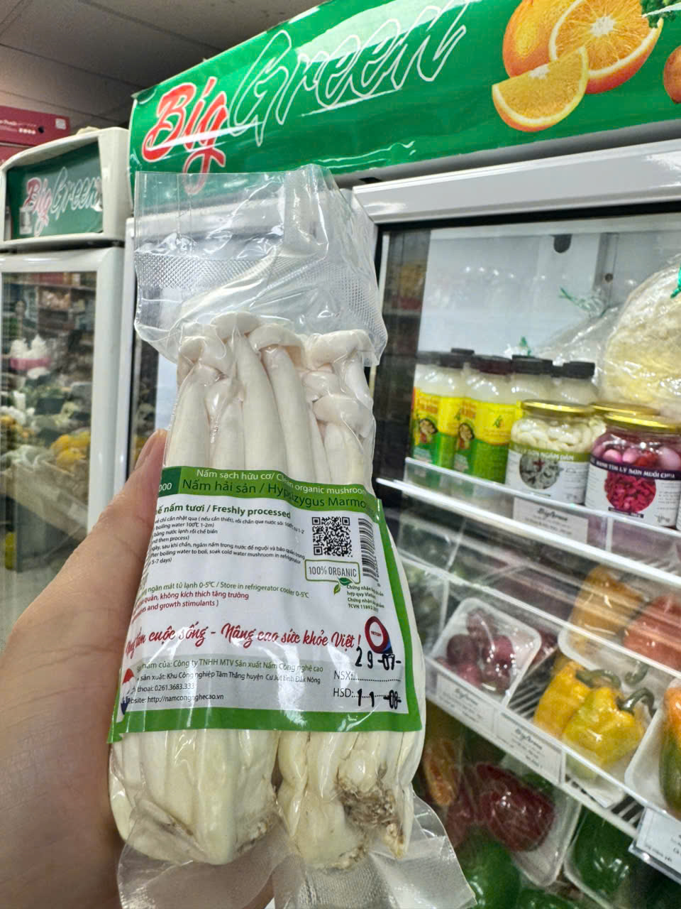 Nấm Hải Sản Hữu cơ