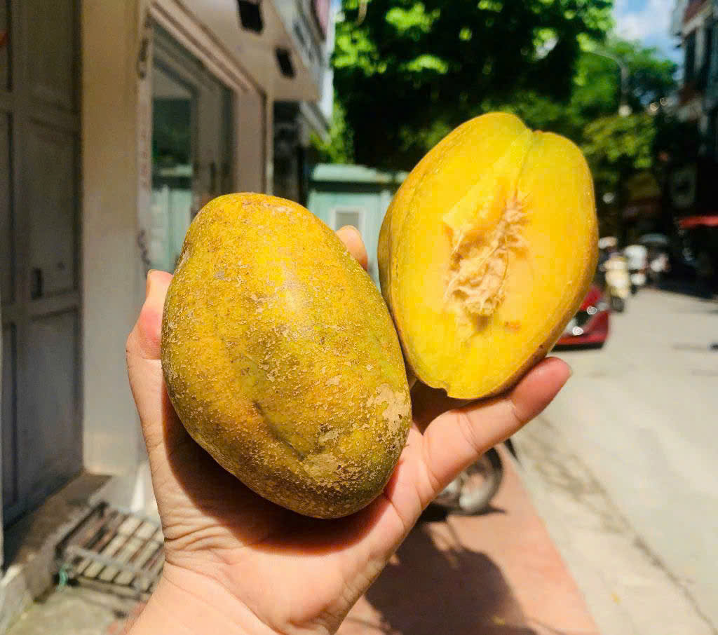 Quả Cóc Chín