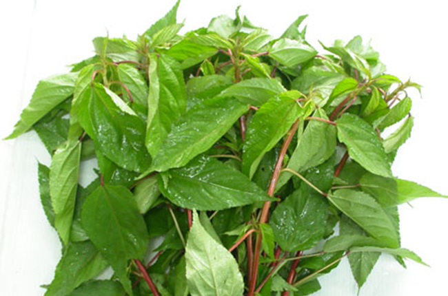 Rau đay Hữu cơ