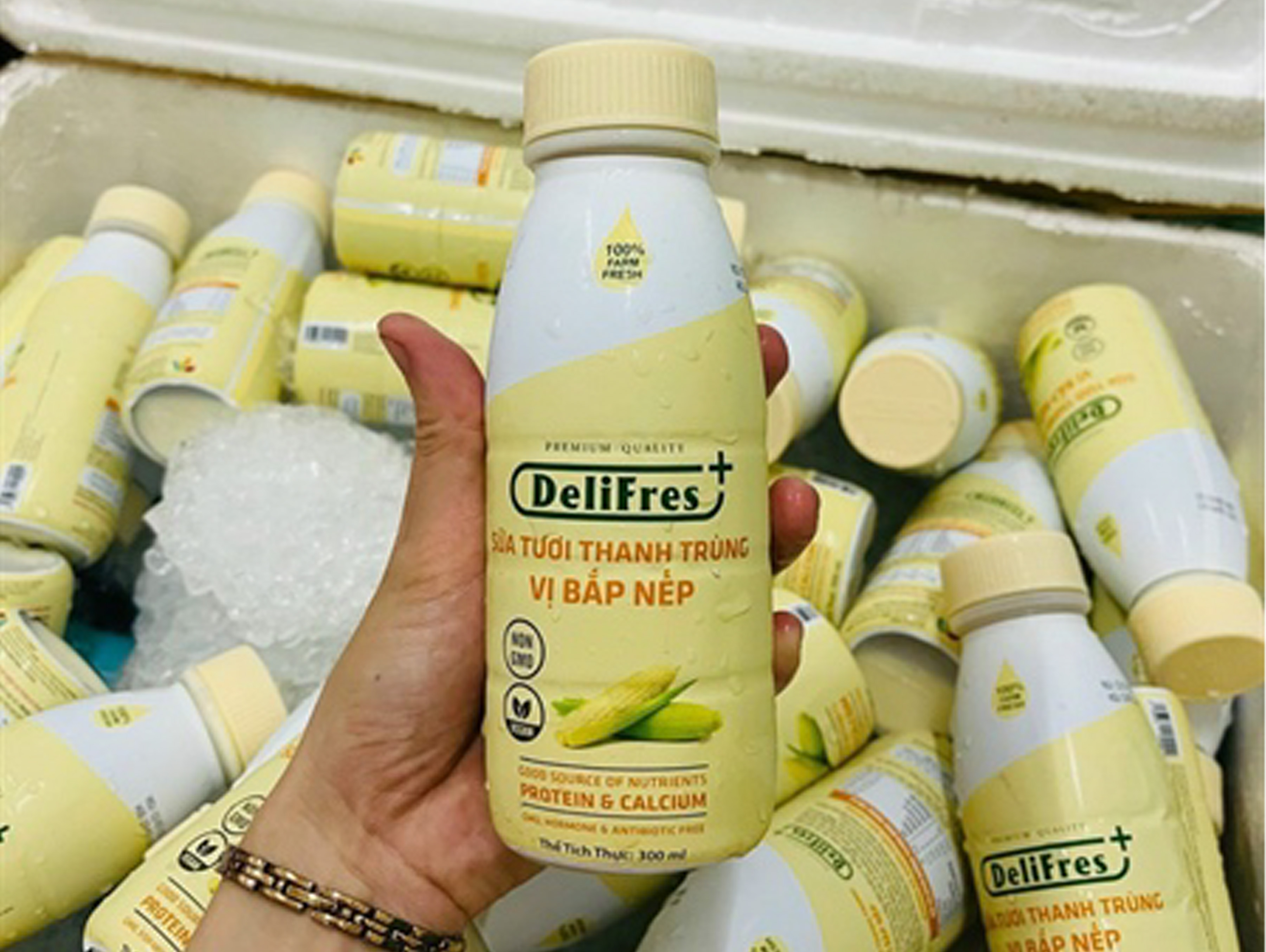 Sữa Tươi Thanh Trùng Vị Bắp Nếp 300Ml - Delifres (chai)