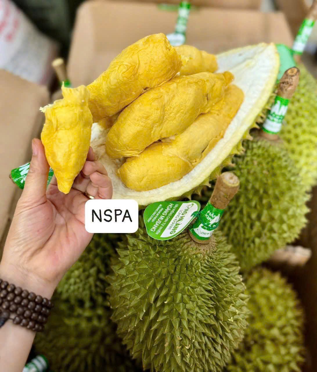 Sầu Riêng Ri6 Ông Hoàng